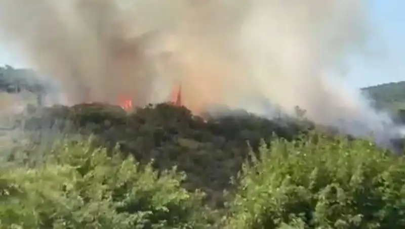 İstanbul'da Orman Yangını: Vatandaşlar ve Doğa Tehlikede!