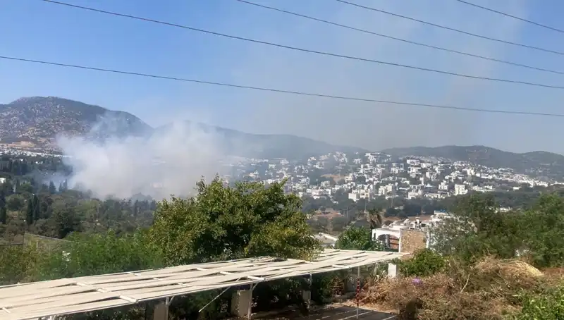 Muğla Orman Yangınları Sonunda Kontrol Altına Alındı: Neler Yaşandı?