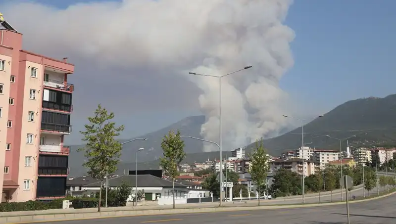 Denizli’de Orman Yangını: Şüpheli Gözaltında, Gerçekler Gündeme Geliyor
