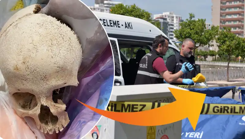 Sitenin Çöpünden Çıkan Kafatasının Gizemi Ortaya Çıktı: Uzman Doktor Gözaltında