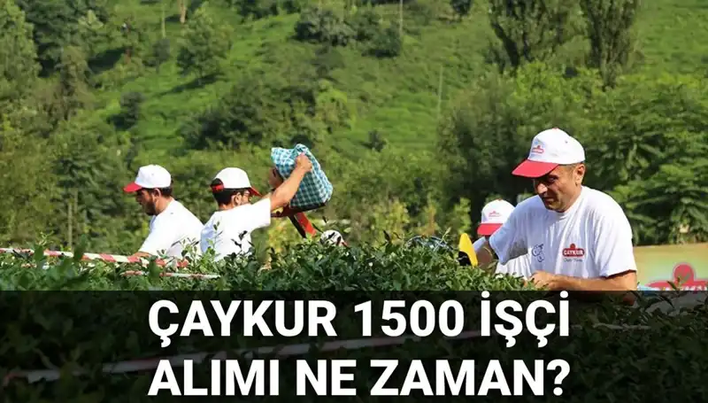 Çaykur İşçi Alımı İlanı: Başvuru Tarihleri ve Detaylar Açıklandı!