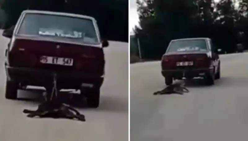 Otomobilin Arkasına Bağlı Köpeği Sürükleyen Şok Edici Görüntüler Ortaya Çıktı