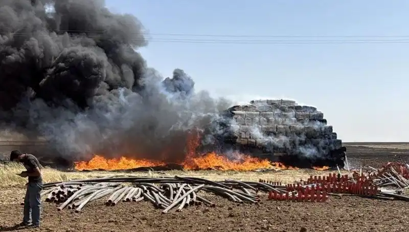 Mardin'de Anız Yangını: Tarım Alanları Tehlikede, Önlemler Alınıyor