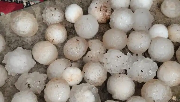 Şanlıurfa'da Kar Topu Büyüklüğünde Dolu Yağışı Hayatları Olumsuz Etkiledi