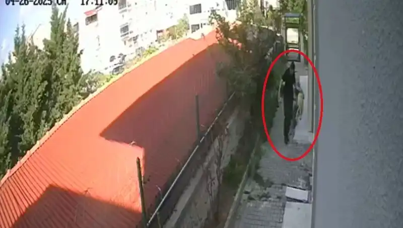 Veteriner Hekim, Sahiplendiği Köpekleri Evinde Parçalayıp Öldürmekten Tutuklandı