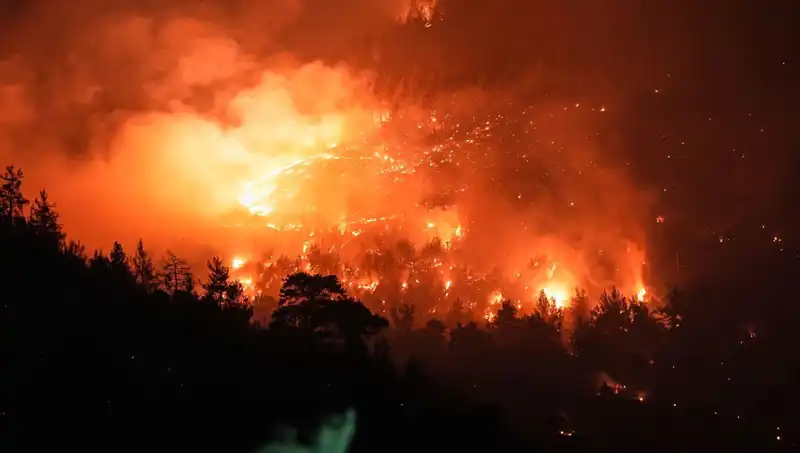 Bursa-Balıkesir Sınırında Kontrol Altına Alınan Orman Yangını İle İlgili Son Gelişmeler