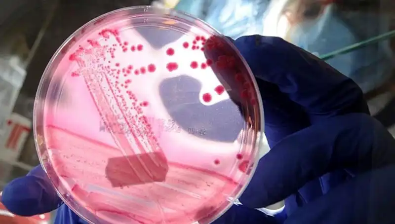 Yaşlanmayı Unutturan AP2A1 Proteini Keşfi: Bilim Dünyası Şaşkın!