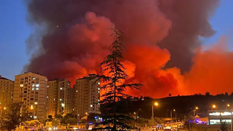 Bursa’da Yangınlar Şehri Sarmaladı: Nedenleri ve Sonuçları Neler?
