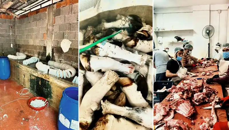 Adana’da Şok Eden Paça İstilası: Yüzlerce Kilo Ele Geçirildi!