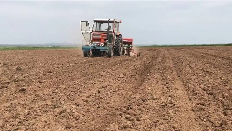 Son 35 Yılın En Kurak Mart Ayı: Türkiye'de Yağışlar Yüzde 59 Düştü