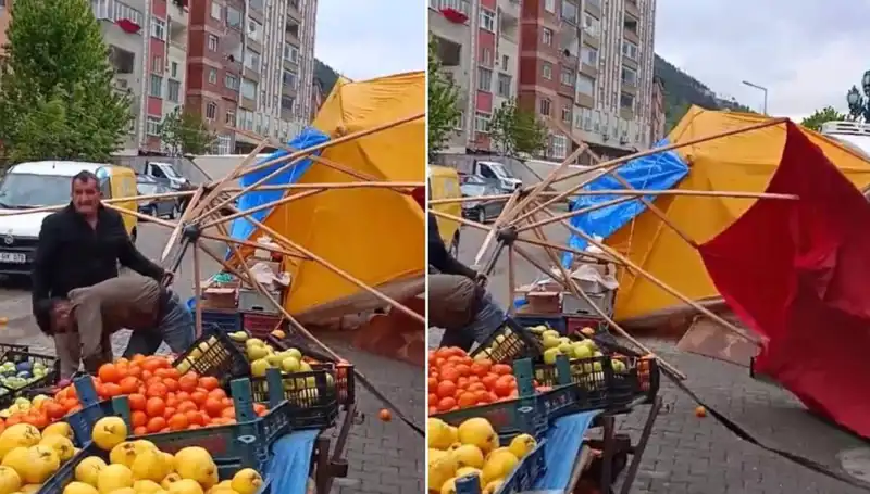 Artvin'de Fırtına İle Gelen Doğa Felaketi: Son Durum Nedir?