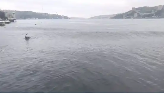 İstanbul'un Kalbinde Şok Eden Deprem: Denizde Dalgalar Yükseldi!