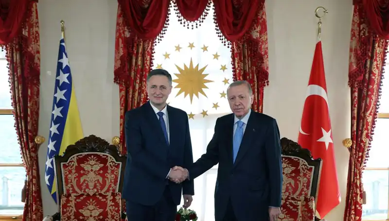 Cumhurbaşkanı Erdoğan, Bosna-Hersek'le İlişkileri Güçlendirmek İçin Becirovic'le Buluştu