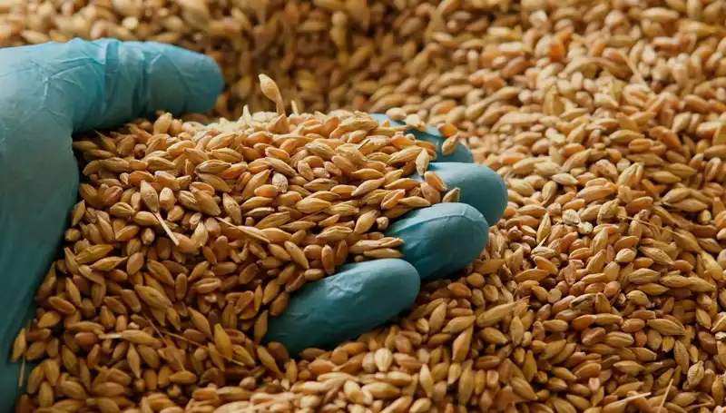 Kalp Hastalığı Riskinizi Düşürmenin Anahtarı: Doğru Beslenme ve Uzman Tüyoları