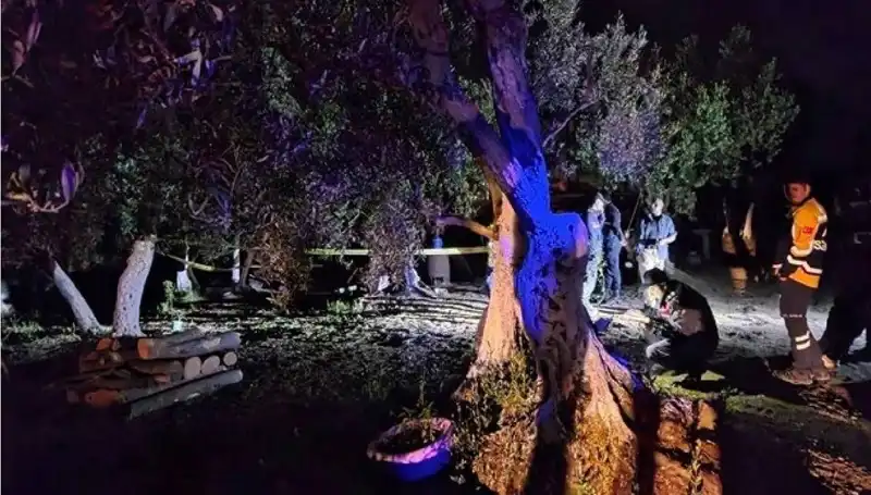 Çiftlikteki Baltalı Vahşet: Bir Şok Tutuklama Daha!