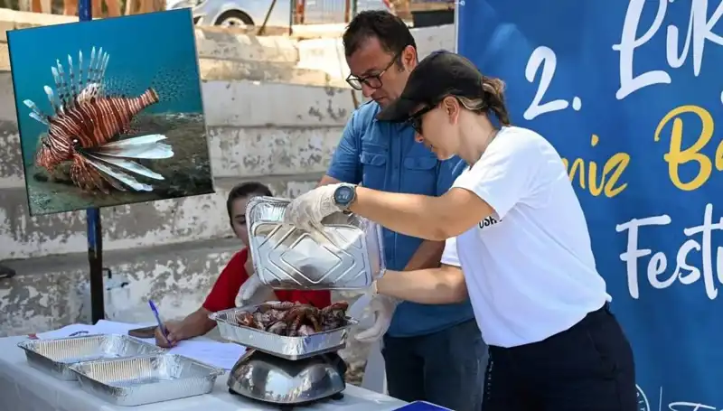 Antalya'da Eşsiz Bir Deneyim: İstilacı Aslan Balığı Avlama Yarışması