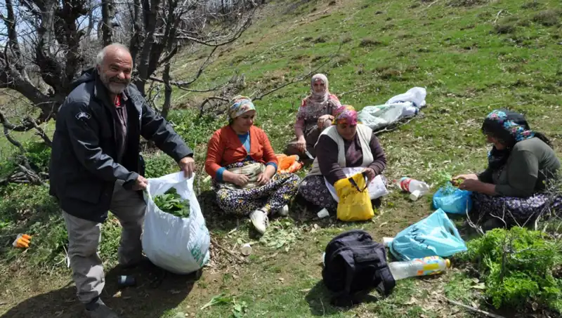 Ormanlarda 5 Saat Yürüyüşle Kazandıkları: Kilosu 250 Lira